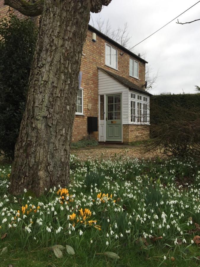 Beech View Cottage Downham Market Exterior foto